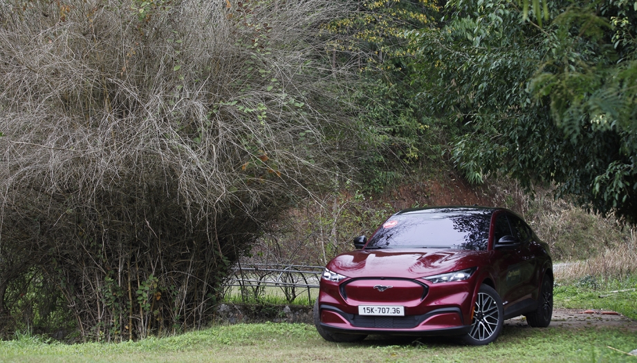 Ford Mustang Mach-e: Biểu tượng mới của Blue Oval trong kỷ nguyên điện hoá