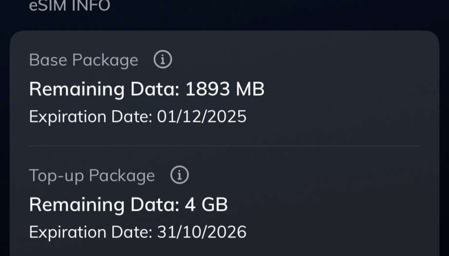 Lỗi esim của VF 8 phải xử lý thế nào?