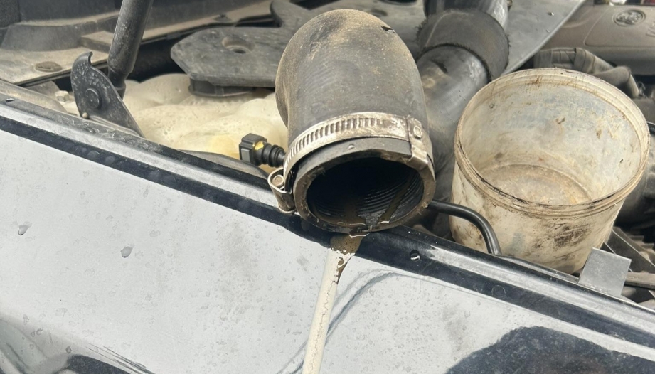 Xin tư vấn về vấn đề mùi dầu của Ford Ranger